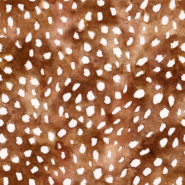 Joustocollege: Bambi Pilkut, Brown