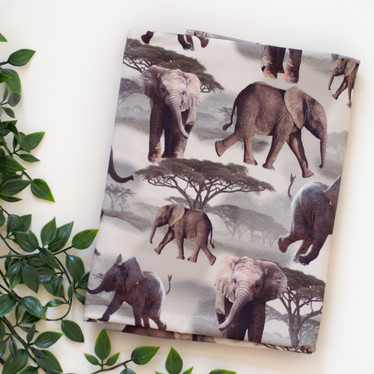 Trikoo: Sweet Elephant