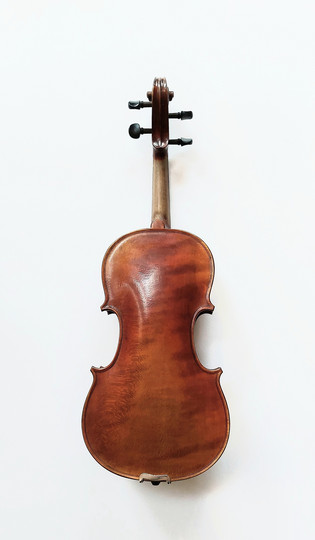 Maestoso 12