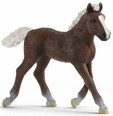 Schleich 13899 Schwarzwaldinhevonen, varsa