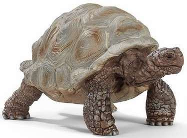 Schleich 14824 Jättiläiskilpikonna