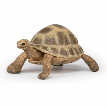 Papo 50264 Kreikankilpikonna