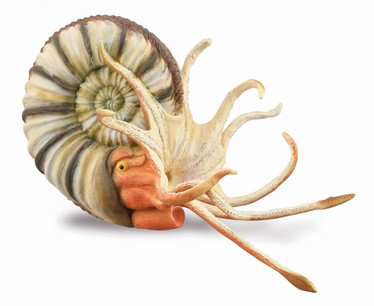CollectA 88902 Pleuroceras ammoniitti
