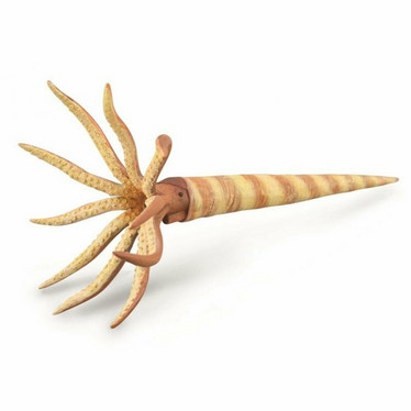 CollectA 88903 Orthoceras