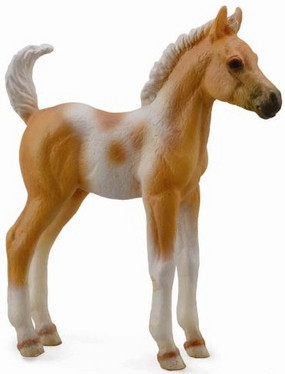 CollectA 88669 Pinto palomino varsa