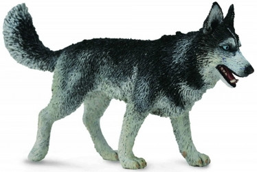 CollectA 88707 Siperianhusky