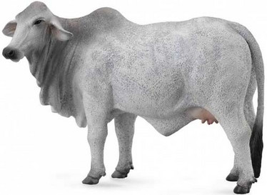 CollectA 88580 Nauta, brahman lehmä