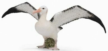 CollectA 88765 Albatrossi