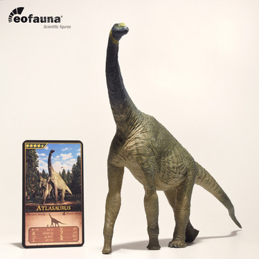 Eofauna 004 Atlasaurus imelakei