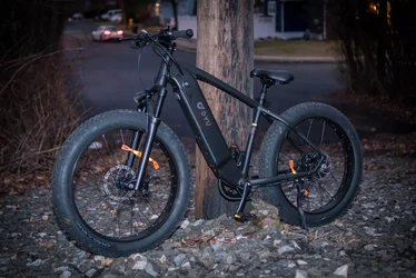 DYU sähköpyörä King 750