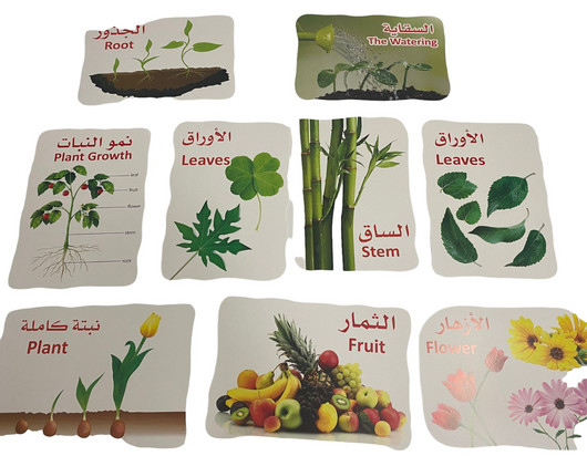 بطاقات تعليمية 