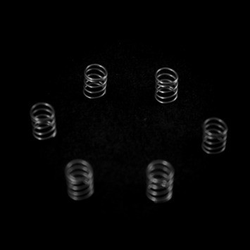 Torch MTB Pawl spring set