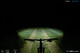 Lupine SL AF4 1300lm Bike Light