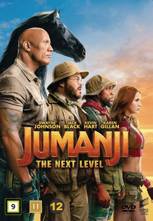 JUMANJI THE NEXT LEVEL DVD