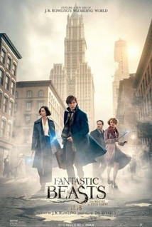 FANTASTIC BEASTS AND WHERE TO FIND THEM DVD