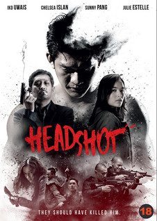 HEADSHOT DVD