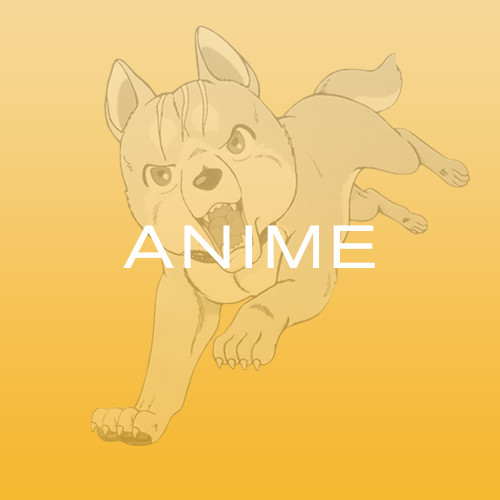 Anime DVD