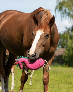 Unicorn karsinalelu Horse Toy 5190