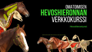 Omatoimisen hevoshieronnan verkkokurssi