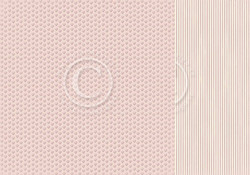 Pion Design Theodore and Bella skräppipaperi Rose and Shine