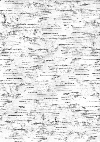 Designkartonki Tuohi