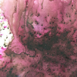 Infusions Dye Stain -värijauhe, sävy Raspberry