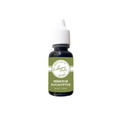 Catherine Pooler Premium Dye Ink -täyttöpullo, sävy Eucalyptus