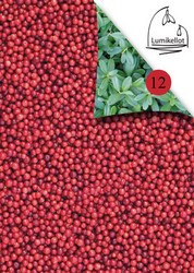 Naturally From Finland kuviopaperi Puolukka
