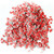Dress My Crafts Shaker -koristeet, Watermelon Slices
