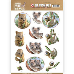 Amy Design Wild Animals Outback 3D-kuvat Koala