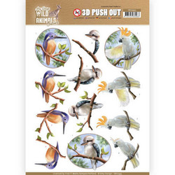 Amy Design Wild Animals Outback 3D-kuvat Parrot