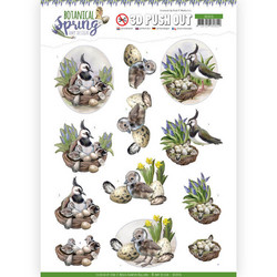 Amy Design Botanical Spring 3D-kuvat Lapwing