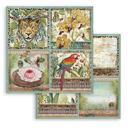 Stamperia Amazonia skräppipaperi Cards
