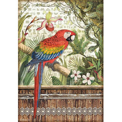 Stamperia riisipaperi Amazonia, Parrot