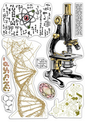 Ciao Bella leimasinsetti Science