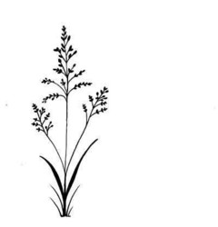 Lavinia Stamps leimasin Field grass