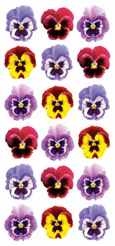 Paper House Puffy-tarrat Pansies