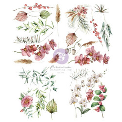 Prima Sharon Ziv Rub-On Transfers -siirtokuvat Orchidea