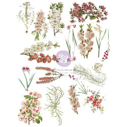 Prima Sharon Ziv Rub-On Transfers -siirtokuvat Bloom