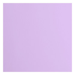 Florence Cardstock -kartonki, sileä, 12