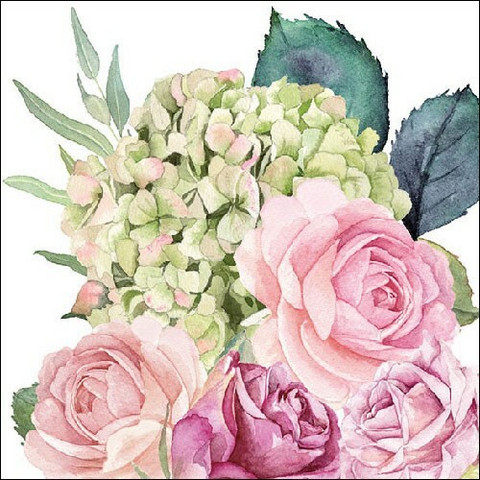 Servetti Rose Garden, 20 kpl