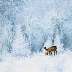 Servetti Soft Wood With Deer and Fawn, 20 kpl