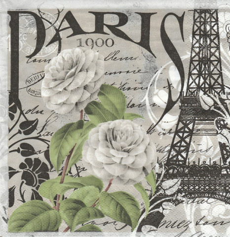Servetti Paris 1900, 20 kpl