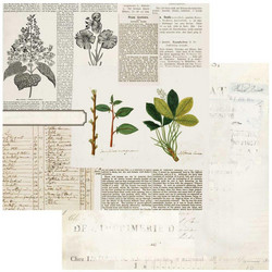 49 and Market Curators Botanical skräppipaperi Florilegia