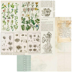 49 and Market Curators Botanical skräppipaperi Anthology