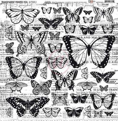 13@rts asetaattikalvo Butterfly Garden