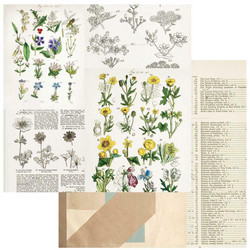 49 and Market Curators Botanical skräppipaperi Pressed Petals