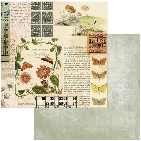 49 and Market Curators Meadow skräppipaperi Nature's Clippings