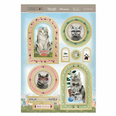 Hunkydory Curious Cats Luxury Topper -pakkaus, You're Pawsome
