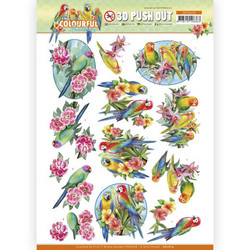 Amy Design Colourful Feathers 3D-kuvat Parrot